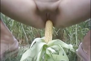 完美的阴部和山雀