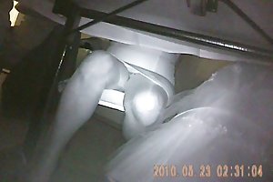 忠诚的女仆占主导地位